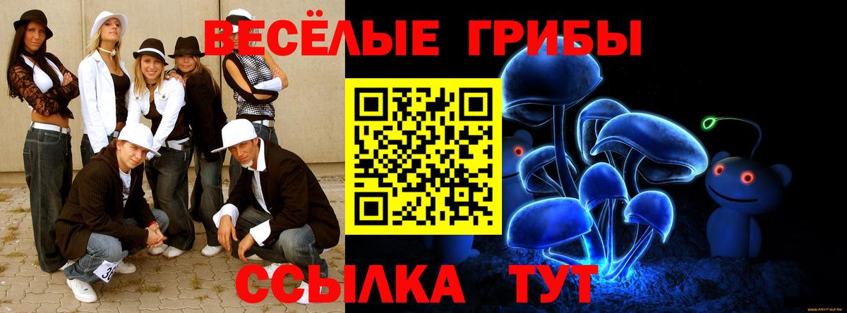Галлюциногенные грибы Psilocybine cubensis Артём